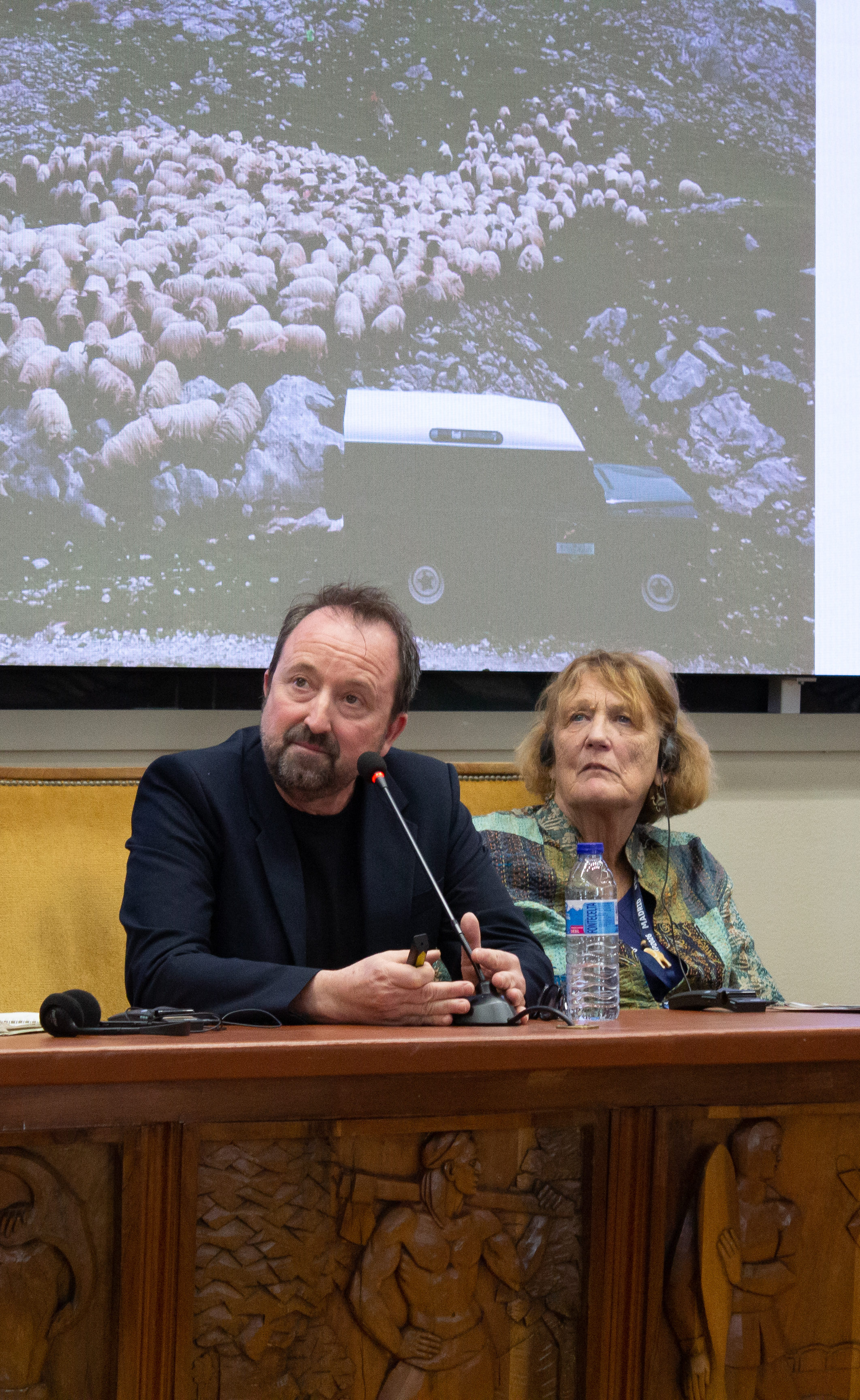 Event Gallery - IYRP 2026